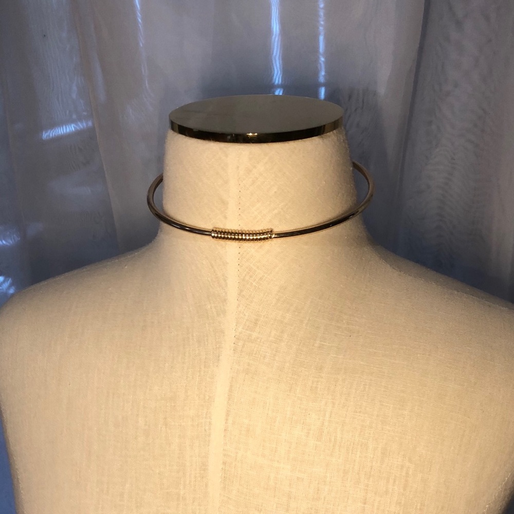 ALDO MINIMALIST CHOKER NECKLACE